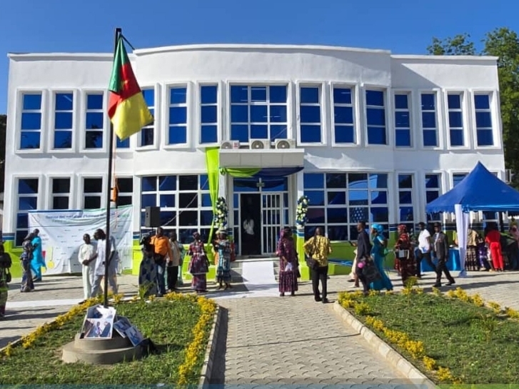 Cameroun : le rachat d'Eneo, une nationalisation d’apparat qui masque un gouffre financier