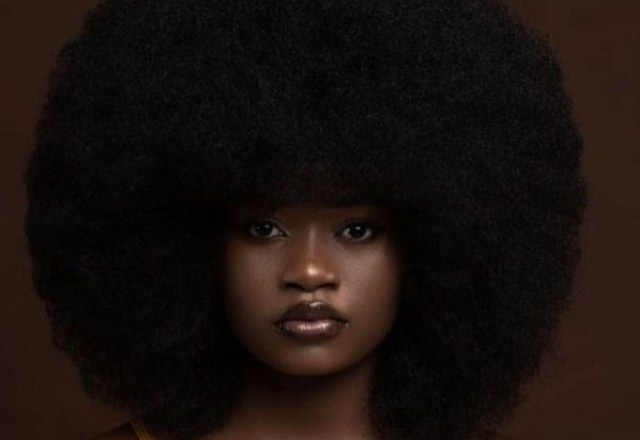 Les grandes batailles africaines 12:  La résistance militaire de Gbehanzin