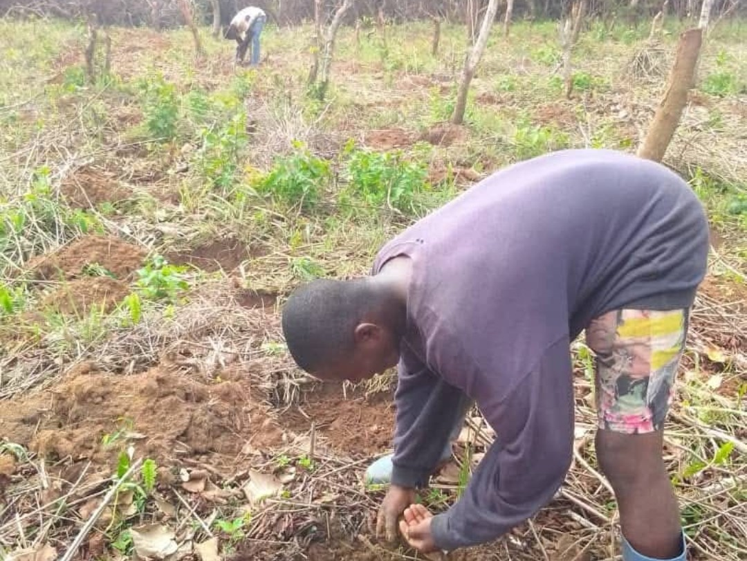 Lancement de le deuxième vague de campagnes de la SOPAGRI